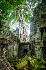 ruins of angkor wat complex at cambodia