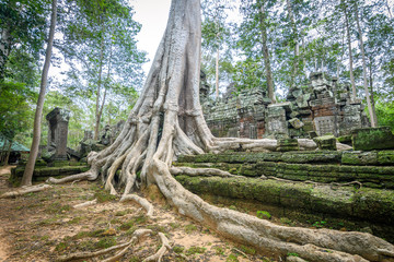 ruins of angkor wat complex at cambodia