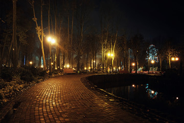 Autumn night landscape in the park after the rain.