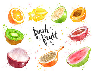 Illustration set of halved fruit