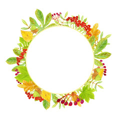 Ornamental autumn watercolor round frame template with red rowanberries, green, yellow and orange leaves, fruit and twigs for greeting cards, posters, invitations