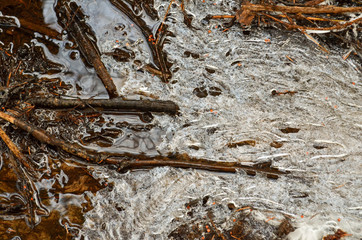 Twigs in frozen stream