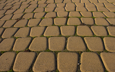 paving slabs top view close up