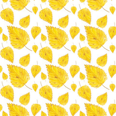 Watercolor seamless pattern with yellow birch leaves. Hand drawn autumn illustration