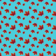 Seamless pattern with painted maple leaves. Watercolor realistic purple leaves. Botanical background