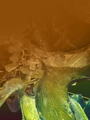 abstract background © neurostructure