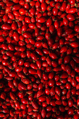 Bright ripe rose hips