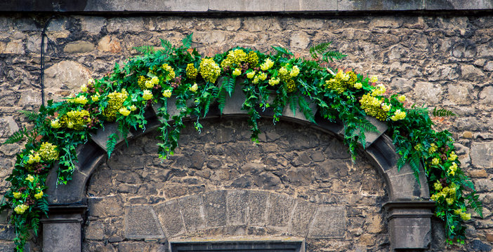 plants above an stone archway