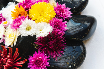 Wet black stones with chrysanthemum buds, decor for spa, relaxation and massage