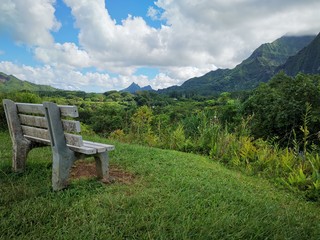 bench in the mountains over botanical garden Oahu Hawaii