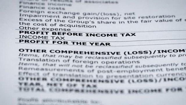 Finance statement report of company. revenue and profit statistics