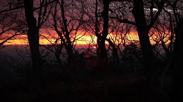 Sun rises through trees - Three Ridges Wilderness - George Washington National Forest, VA