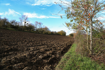 Obraz premium Autumn landscape. Autumn landscape with freshly plowed field.