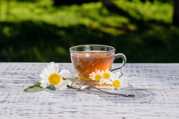 Green tea. Therapeutic chamomile tea. Cup of fragrant tea standing on wooden, white table, in the rays of sunlight, in the flowers of the field chamomile, along which ladybird crawls.