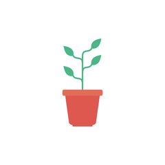Isolated plant inside pot flat design