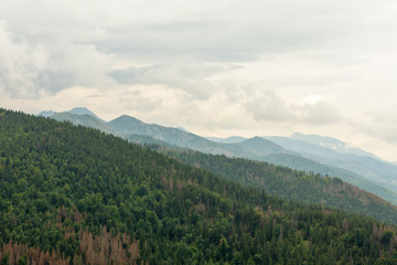 Tatry mountains covered with beautiful forests and covered with thick fog and clouds