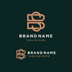 Obraz premium Letter BS Logo Template Vector Illustration