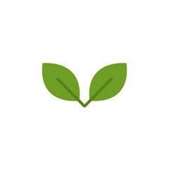 Isolated leaves icon flat design