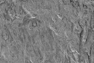 Close-up for text. Stones for the background. Stone texture. Abstract background texture of stone. Limestone texture for background.