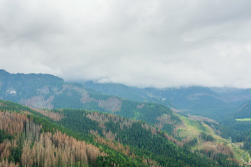 Tatry mountains covered with beautiful forests and covered with thick fog and clouds
