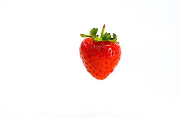 Close up of a single ripe strawberry isolated against a plain white background. Space for copy.