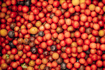 Naklejka na ściany i meble bright yellow-red cherry plum, autumn fruits