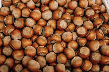  hazelnut on the food market