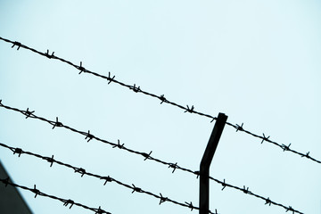 Sihouette of barbed wire on white background 02