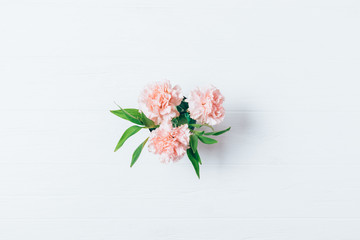Top view of pastel pink carnations flowers