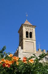 Fototapeta na wymiar Stadtmauer und Kirche von Bolgheri