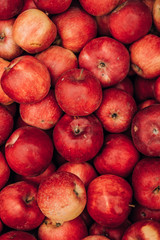 Fototapeta na wymiar fresh red apples, fruits, autumn harvest, vitamin