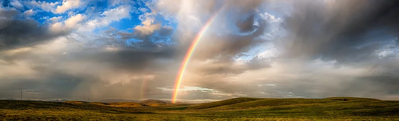 Plexiglas foto achterwand Late regenbuien over weelderig groen landschap met glooiende heuvels © Scott Donkin