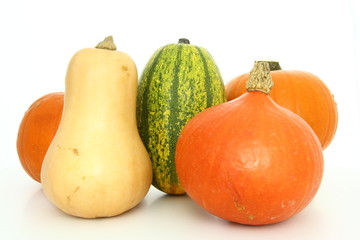 Vege -  various pumpkins on white background - butternut squash, hokkaido, pasta