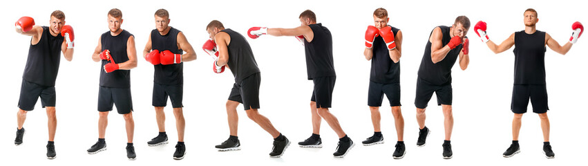 Strong male boxer on white background