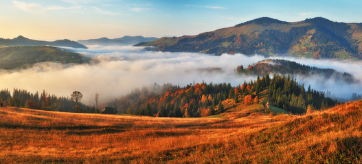 autumn morning. Picturesque foggy sunrise in the Carpathian mountains