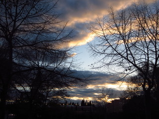 Fototapeta premium sunset in the forest