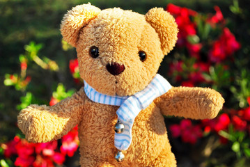 Teddy bears, gifts for special people on important days.