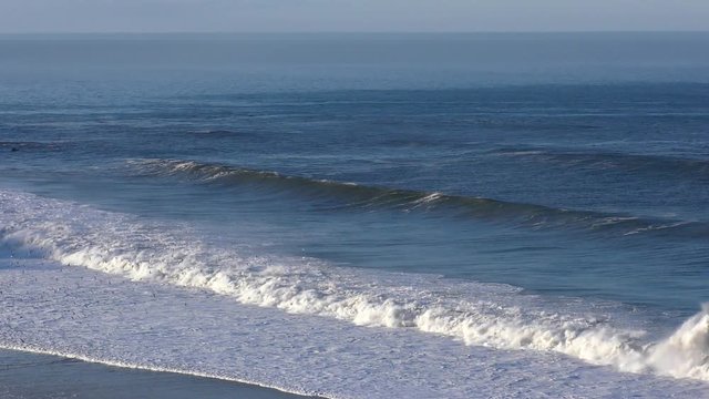 Large waves swell as a big group of seagulls flock together and fly in the foreground of the rhythmic sea water in this wide angle shot of the Pacific Ocean.