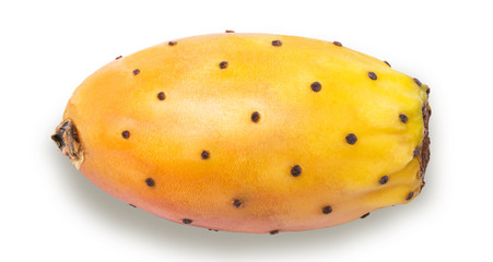 One whole ripe prickly pear fruit isolated on white background