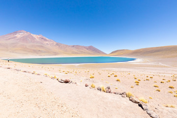 Chile Atacama desert Miscanti Lagoon and mountain