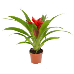items on perfect white background