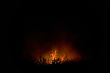 Fototapeta na wymiar Orange flames pierce the darkness, as a sugarcane field burns at night. 'Burning the trash' - first stage of the harvesting process - is a common spectacle in the Clarence Valley growing region.