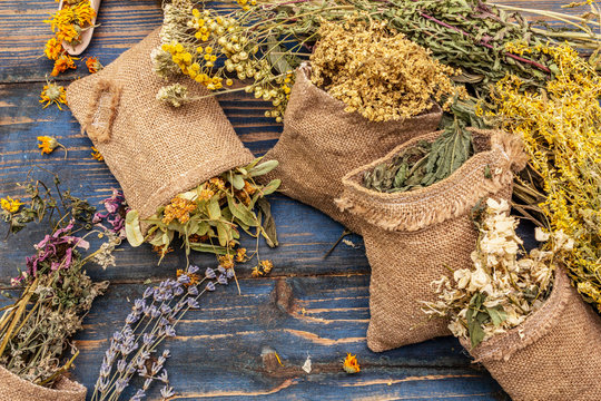 Herbal harvest collection and bouquets of wild herbs. Alternative medicine. Natural pharmacy, self-care concept