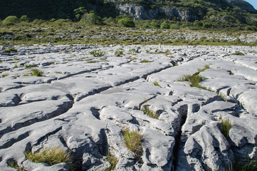 Naklejka premium Liemstone pavement in the Burren, Ireland