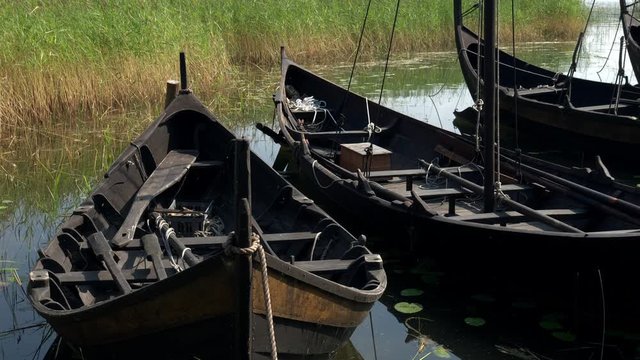 Several Wooden Viking Ship Knarr Docked