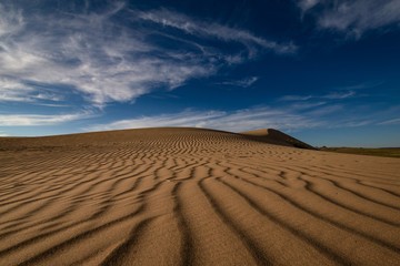 sand dunes in the desert