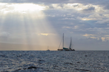 Inspirational end of the day whale watch toufr.