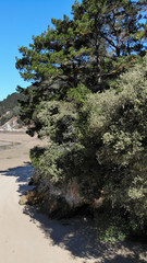 El Sable beach on the Tinamenor estuary in Cantabria