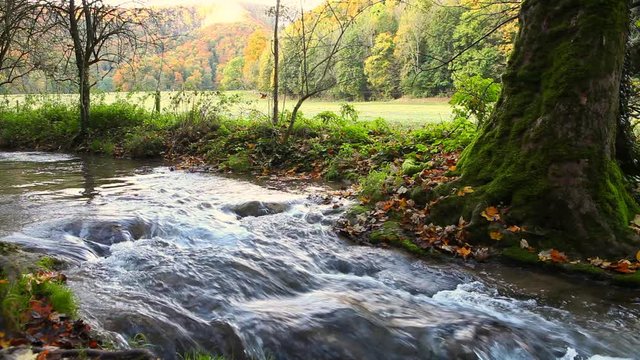 mountain stream in autumn forest woods at Urach schw&auml;bische alb germany