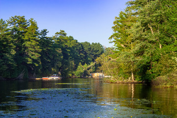 River in a summer afternoon